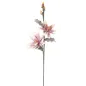 MAGNOLIA X2 Fioletowa 25X98 cm MIN 12